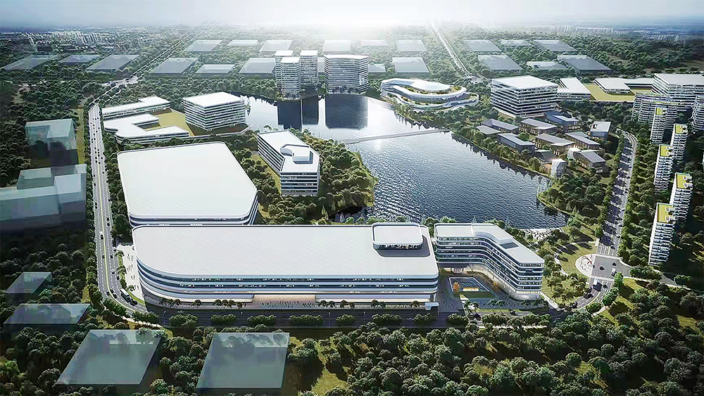 久久精品亚洲一级毛片