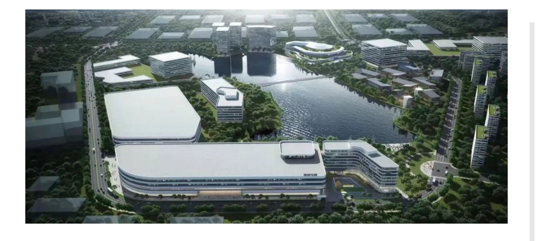 久久精品亚洲一级毛片