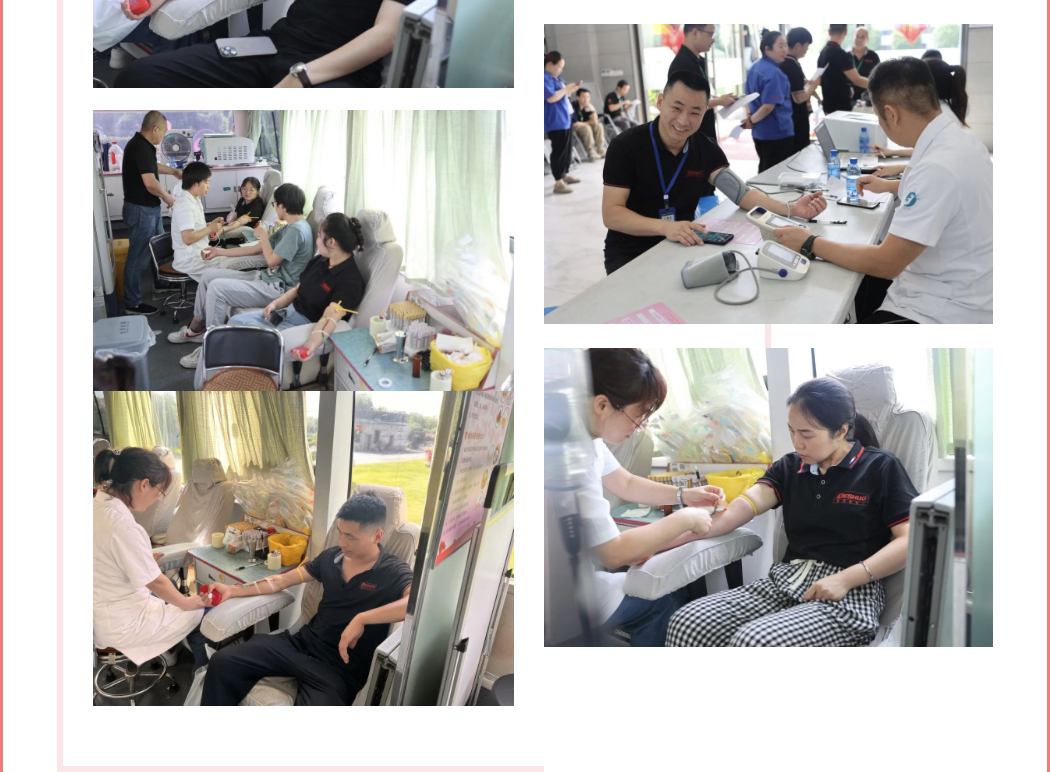 久久精品亚洲一级毛片